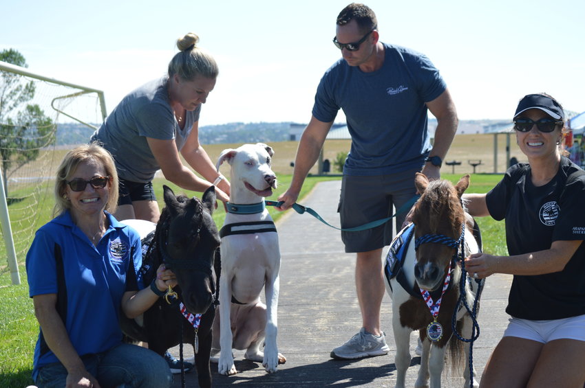 Kris Anselmi, far left, and Audra McNicholas, far right, smile with miniature therapy horses that are owned by McNicholas Miniatures and volunteer with Arapahoe County Sheriff's Office Mounted Patrol Unit. In the center is Jordi, a Great Dane, with his owners Amy Salley and Kevin Salley. The Salley family are part of Prevail Home Realty, which had a booth at the Aug. 6 "RexRun" event.